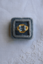 Praga Ring